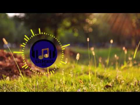 Steam Phunk - Together (1 Hour Loop)