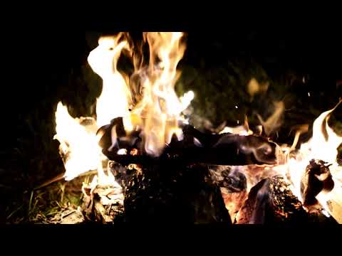 Roger i Przyjaciele   Pytałem dziś