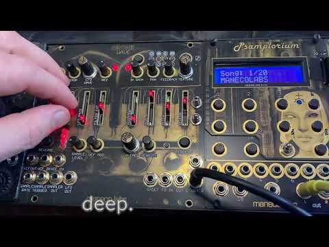 Maneco Labs GRONE WAVE -Eurorack (BPNYC) image 5