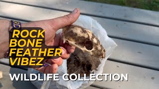 Rock Bone Feather Vibez - Adventure Collection from Driftless Region 