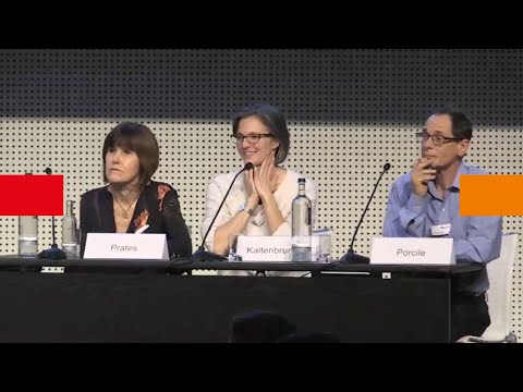 Conferência FMM Constrangimentos ao desenvolvimento e à mudança estrutural - Discussão Prates e Porcile Q+A