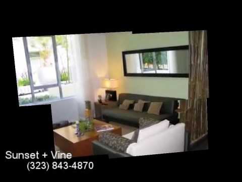 Sunset + Vine Apartments for Rent in Hollywood, CA