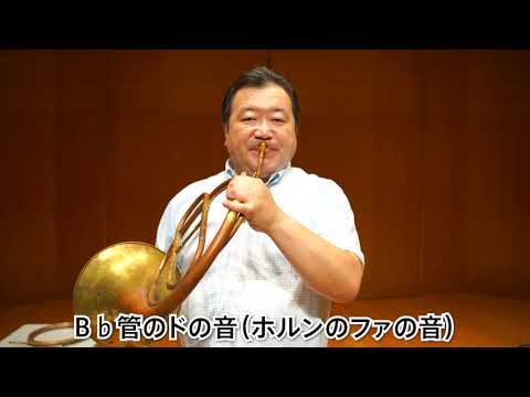 ホルンステッドティアについて詳しく解説