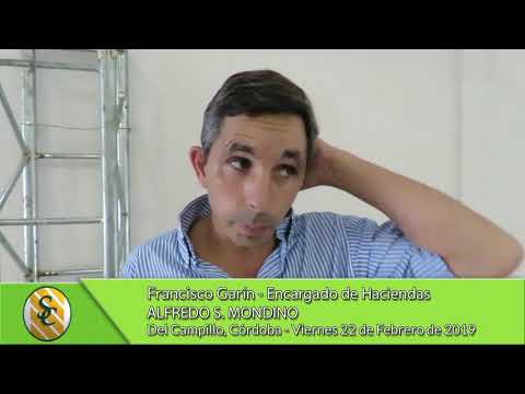 22-02-19 - Francisco Garín - Encargado de Haciendas - Alfredo S. Mondino - Del Campillo