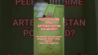 Download lagu PELET OTOHIME VS ARTEMIA INSTAN POLAR RED mp3 Download lagu PELET OTOHIME VS ARTEMIA INSTAN POLAR RED mp3