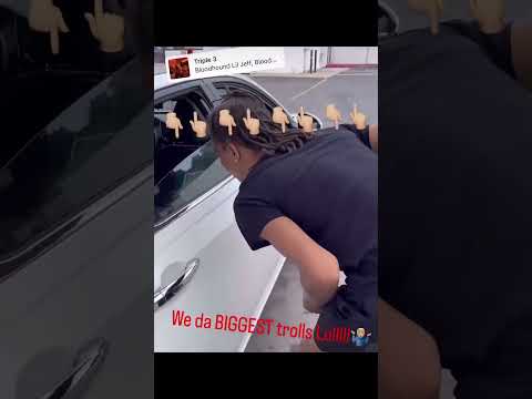 Bloodhound Lil Jeff reenacting the Leal murder. #bloodhoundliljeff