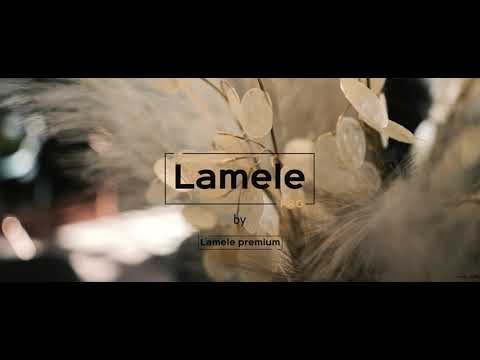 Gold Door Lamele PRO by Lamele Premium 3D Luksusowe wnętrza Producent
