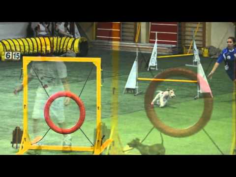 agility junior championship Gyula 2011 parte 2