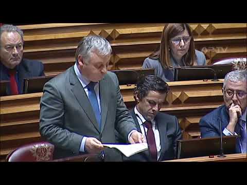 Intervenção de Rui Cruz no Plenário