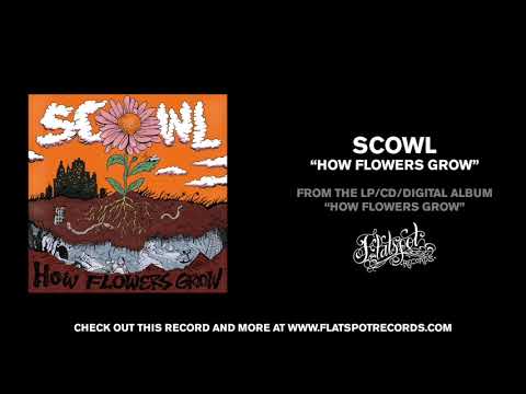 Video thumbnail for How Flowers Grow