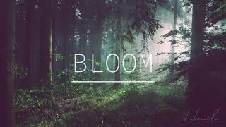 Bloom (The Paper Kites) (Audio)