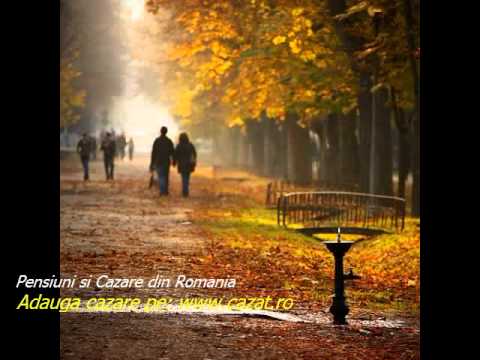 Cazare Bivolaria, Suceava - Cazat.ro