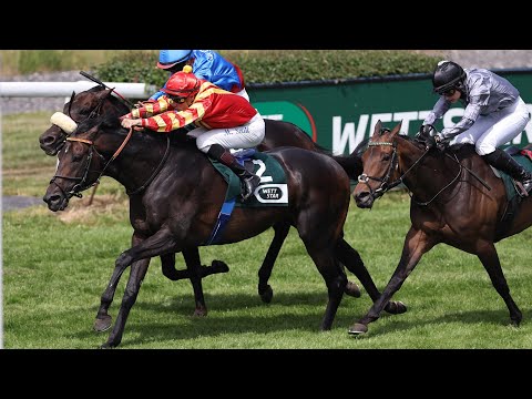 Dortmund: 36. Großer Preis der Wirtschaft 2025 Sieger: Best Lightning