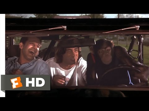 Trailer Grandma's Boy (5/5) Movie CLIP - Drive, Monkey, Drive (2006) HD