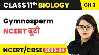 Gymnosperm - NCERT बूटी - Plant Kingdom | Class 11 Biology Chapter 3 | NCERT/CBSE
