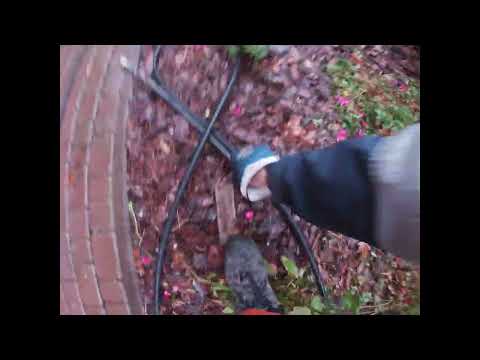 Złogi tłuszczu przyblokowały w 100% wejście do zbiornika oczyszczalni przydomowej