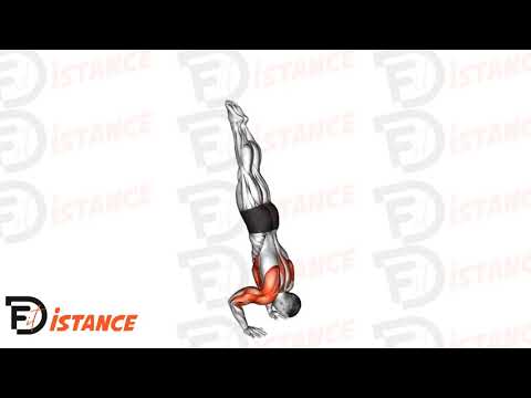 Pompes en équilibre sur les mains - Exercice Pompes en équilibre sur les mains en vidéo
