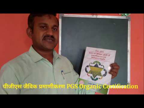 download lagu mp3 mp4 Pgs India Organic, download lagu Pgs India Organic gratis, unduh video klip Pgs India Organic
