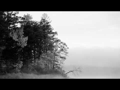 Loscil - Bannockburn (Full Album)