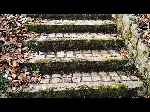 STADSFARMEN MOSSEN i Mariedal KARLSKRONA - 210401 - Huawei P30 PRO (Blekinge)