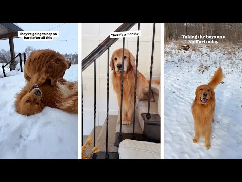 We Got Snowed In...and there was a MONSTER!