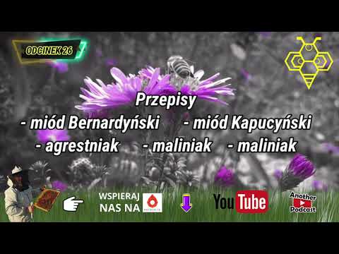🎤 Przepisy miód pitny Bernardyński Kapucyński agrestniak, maliniak, ODCINEK 26 #dolnośląskie #miody🎧