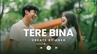 Download lagu Tere Bina |  Song mp3 Download lagu Tere Bina |  Song mp3