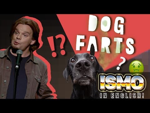 ISMO | Dog Farts