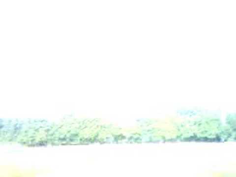 Union solingen gegen Straelen