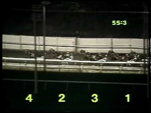 1988 Meadowlands Pace - Matt's Scooter & Mike Lachance