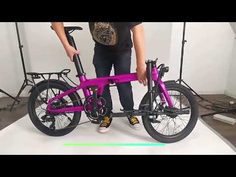 ANLOCHI 15kg light weight 20" Carbon fiber folding electric bike