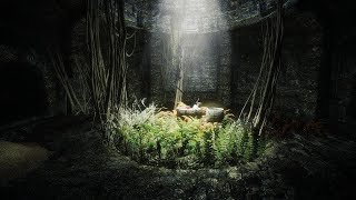 Skyrim Association: Evolution 2.5 - Сложность: Легенда