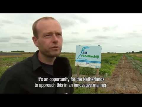 download lagu mp3 mp4 Arjen Vos, download lagu Arjen Vos gratis, unduh video klip Arjen Vos