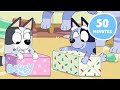 LIVE Christmas With The Cousins Bluey Muffin And Socks Moments Bluey