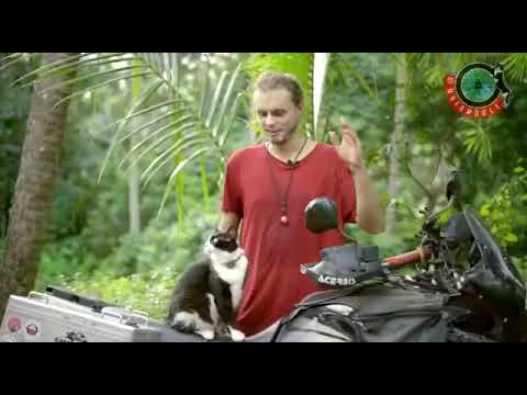 Rosenheimer Martin Klauka fahrt mit Katze um die Welt – bei uns können Sie sein Buch gewinnen!