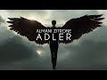 Adler