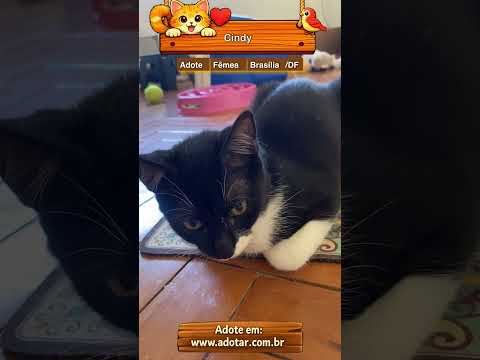 Vídeo de Cindy
