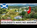 Scotland Released Wild Animals Into A Dying Farm What Came Back In 6 Years Was Unbelievable