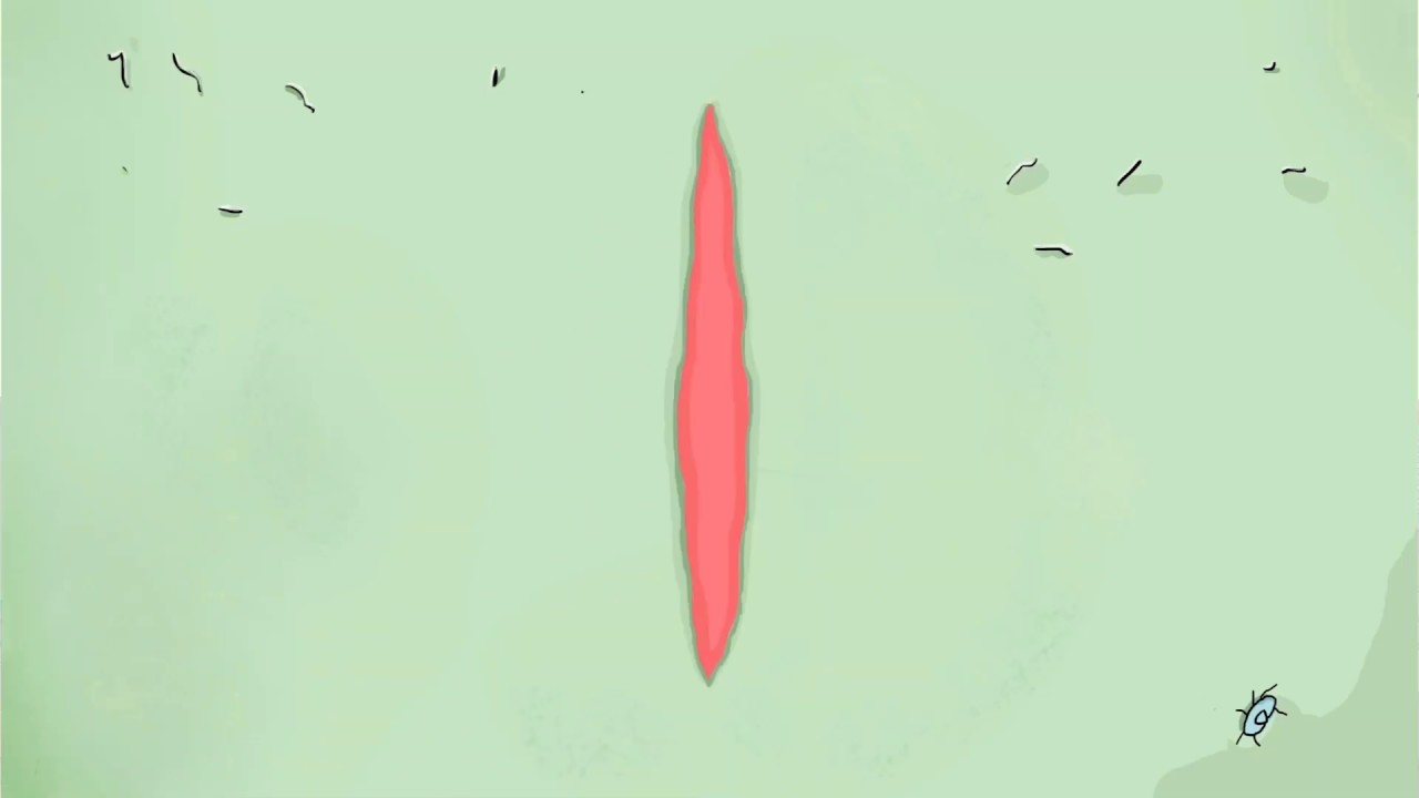 Kohannia (Deep Love) Trailer by: Mykyta Lyskov  Микита Лиськов "Кохання" Трейлер