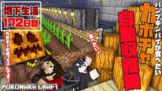 マインクラフト カボチャ自動収穫機の作り方を伝授します 地下生活172日目 ぽこなかくら 422 تنزيل الموسيقى Mp3 مجانا