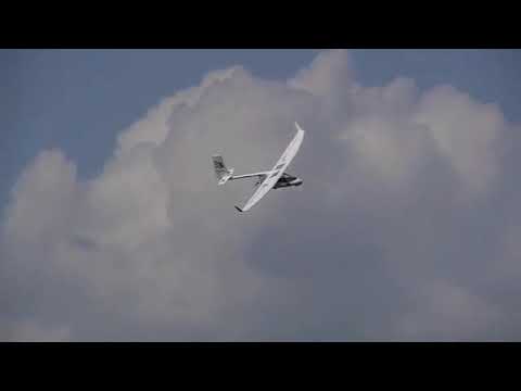 Archaeopteryx Electric "Electeryx"