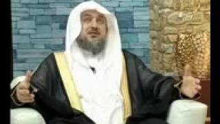 صورة برنامج فتوى