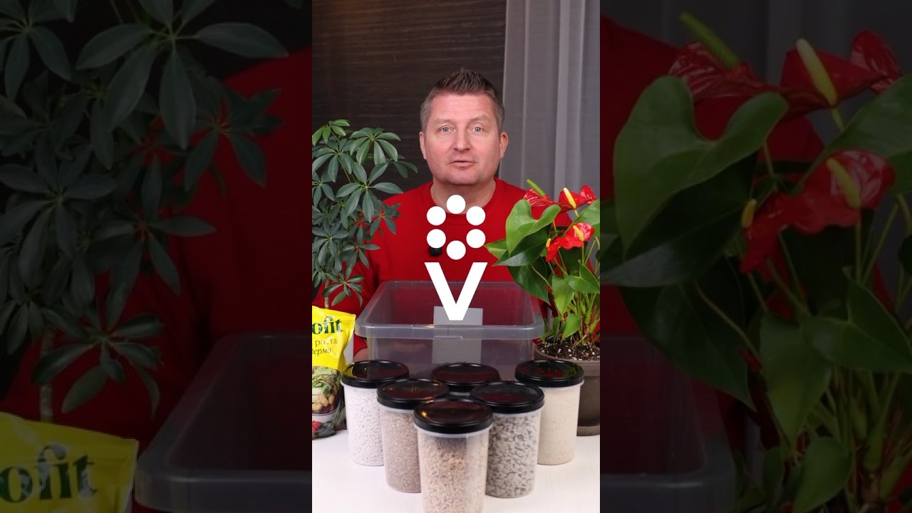 Растения будут пищать от удовольствия после посадки в такой грунт! Идеальная смесь для любых цветов своими руками!