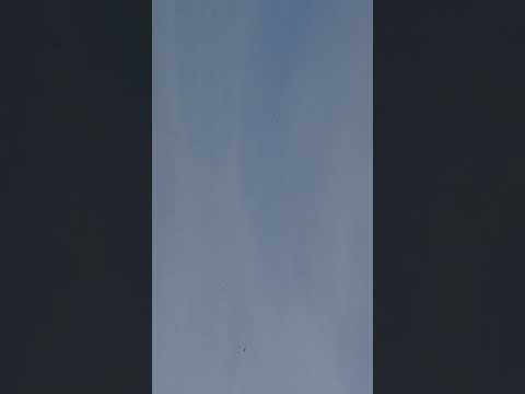 festival de Taubaté chácara florida