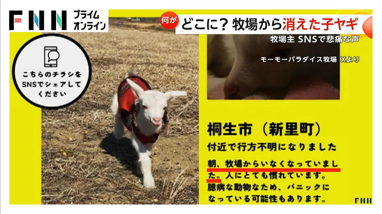 「やぎ探しています」どこに？牧場から消えた子ヤギ（2026年03月17日）
