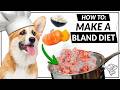 Vet Recommended Diet For Dog Vomiting Upset Stomach Ultimate Pet Chef