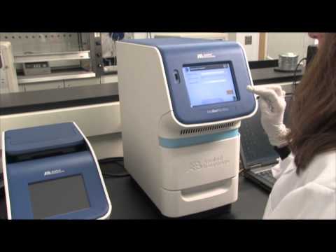 Amplify Sample with The StepOnePlus™ Real Time System (qPCR step 6)