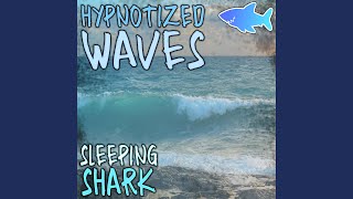 Hypnotized Waves
