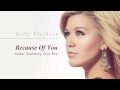 Kelly Clarkson - Because of You (Ander Standing ...