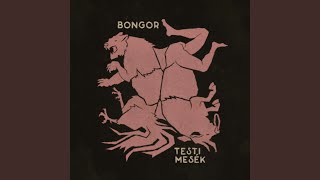 elkéstem